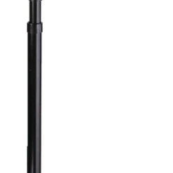 National Giraffe Light Bulb Changing System